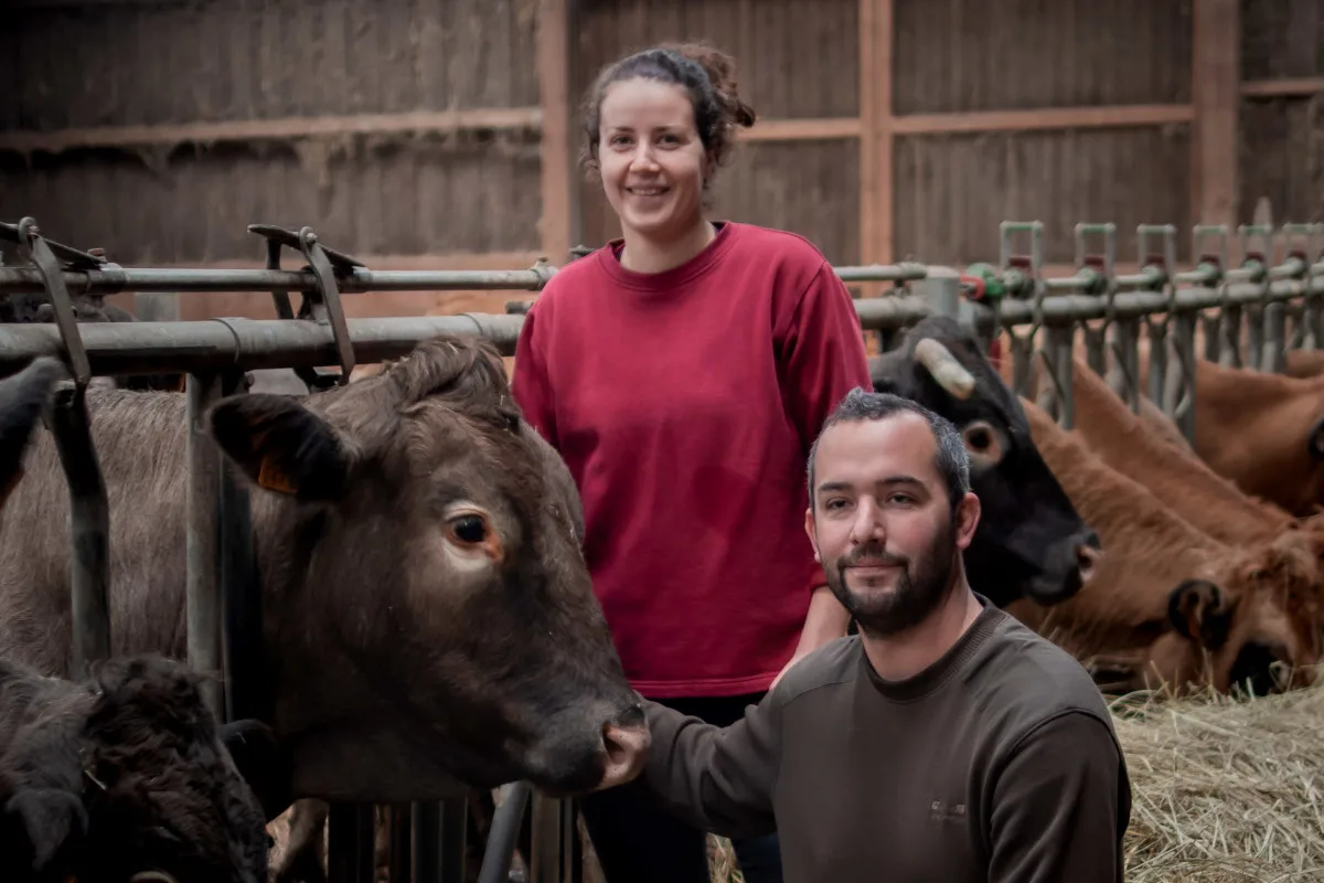 Camille Touzeau et Raphaël Marquet avec leurs vaches, à la Ferme de Magnantru