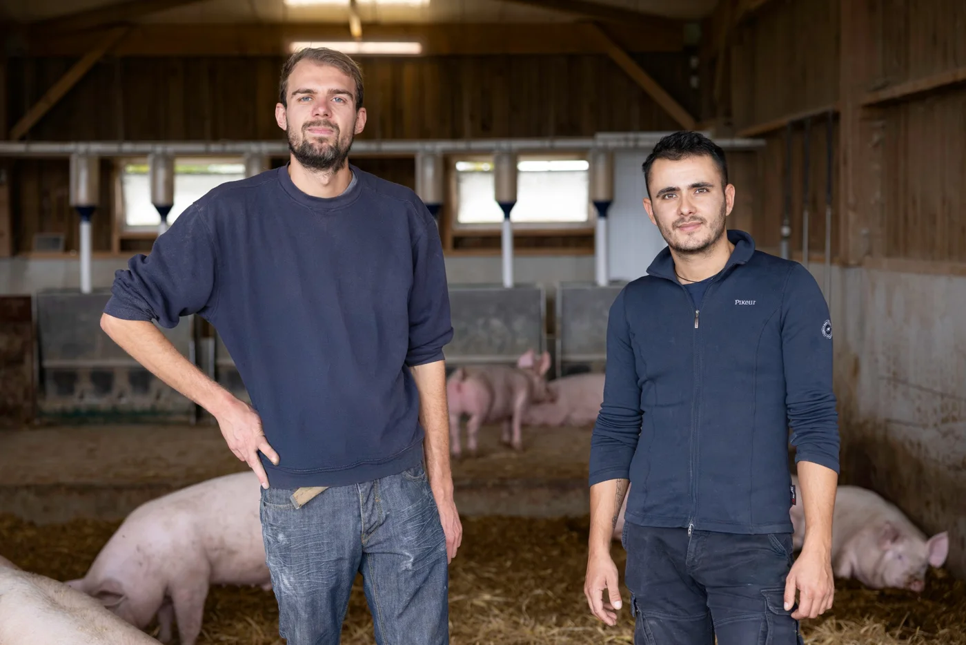 Deux éleveurs de la Ferme des Sens au milieu de leurs cochons bio