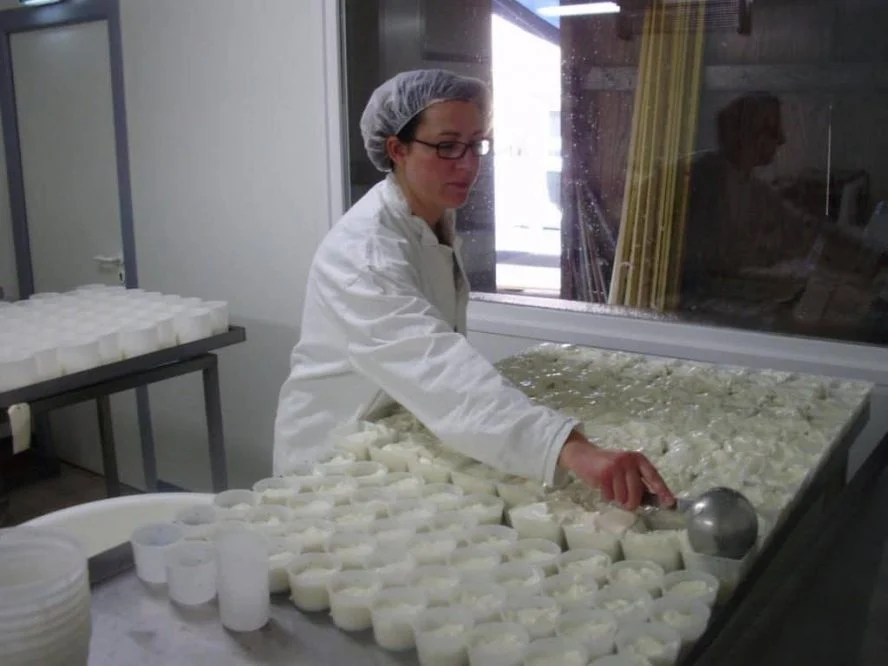 Moulage des fromages de chèvre à la louche dans la fromagerie des Fromages d'Emma