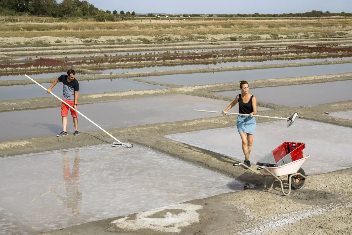 Récolte du sel au râteau dans le marais salant de l'île Madame